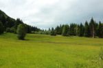 2014-07-05_Laengental-N-Hochweg (253). JPG